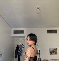 Siobe - Transsexual escort in Abu Dhabi