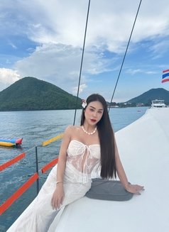 Siren🧜‍♀️ - Transsexual escort in Chiang Mai Photo 15 of 15