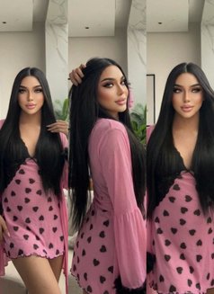 Gigi - Acompañantes transexual in Khobar Photo 1 of 11
