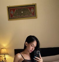 Sisi Ladyboy Sexy - Transsexual escort in Singapore