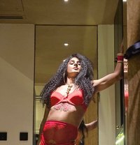 Sissy Amber - Transsexual escort in Bangkok