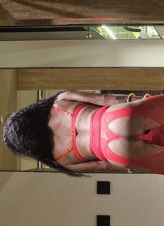 Sissy Amber - Transsexual escort in Bangkok Photo 12 of 14