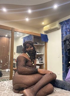 Sissy Dodo - Acompañantes transexual in Cairo Photo 2 of 4