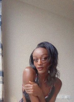 Sissy - Transsexual escort in Cape Town Photo 3 of 3