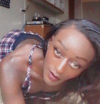 Sissy - Transsexual escort in Nairobi