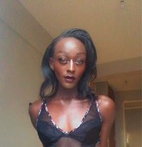 Sissy - Transsexual escort in Nairobi