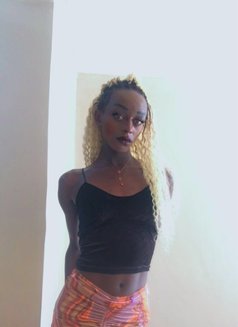 Sissy - Transsexual escort in Nairobi Photo 3 of 6