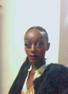 Sissy - Transsexual escort in Nairobi Photo 1 of 6