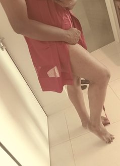 Sissy for massage (whatsapp only) - Acompañantes transexual in Colombo Photo 14 of 17