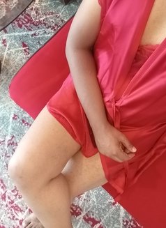 Sissy for massage (whatsapp only) - Acompañantes transexual in Colombo Photo 17 of 17