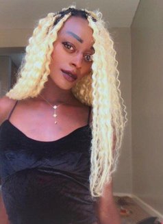 Sissy - Transsexual escort in Nairobi Photo 3 of 6