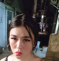 Sissy Sushii - Transsexual escort in Hong Kong