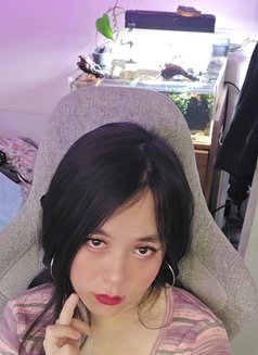 Sissy Sushii - Transsexual escort in Hong Kong Photo 5 of 9