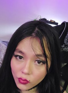 Sissy Sushii - Transsexual escort in Hong Kong Photo 6 of 9