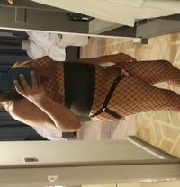 Sissybee - Male escort in Colombo