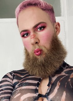 Sissydatsimp - Male escort in Berlin Photo 2 of 16