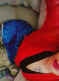 Sissygo - Transsexual escort in Riyadh Photo 4 of 4