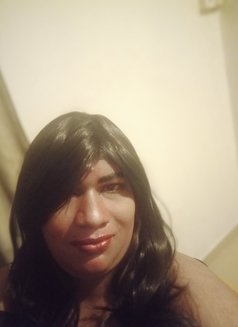 Sissygurl - Acompañantes transexual in Colombo Photo 2 of 3