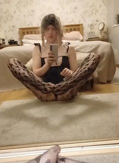 Sissypawgmilf - Transsexual escort in London Photo 24 of 27