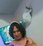Sissysandeep - Male escort in New Delhi Photo 1 of 1