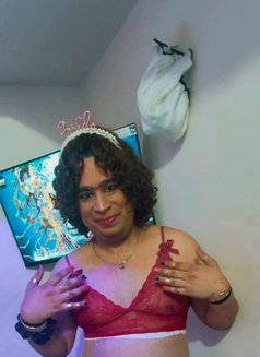 Sissysandeep - Male escort in New Delhi Photo 1 of 1