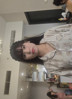 Sister New full service in business bay - escort in Dubai Photo 2 of 2