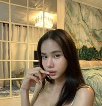 Sitang69 - Transsexual escort in Bangkok