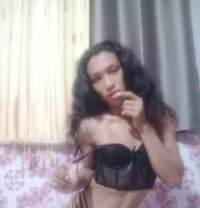 Sitthikorn Somporn - Transsexual escort in Bangkok