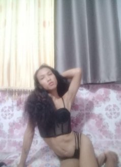 Sitthikorn Somporn - Acompañantes transexual in Bangkok Photo 6 of 6