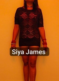 Siya James - puta in Noida Photo 1 of 1