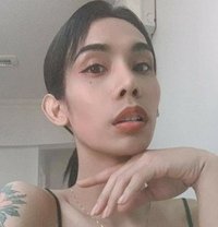 Skinny Lady Boy /Both, Chinese Transsexual escort in Muscat