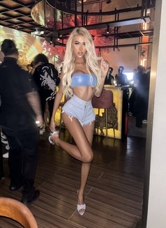 Skiny pettite Babiegurly - Transsexual escort in Bali Photo 30 of 30