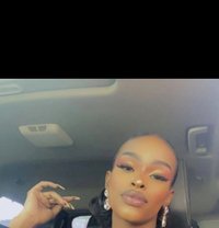 Sky - Transsexual escort in Nairobi