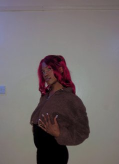 Sky(kilimani)domination & Submission - Acompañantes transexual in Nairobi Photo 6 of 7
