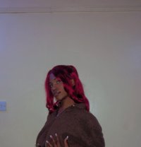 Sky (Kilimani)domination & Submission - Acompañantes transexual in Nairobi