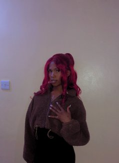 Sky(kilimani)rimming Domination - Transsexual escort in Nairobi Photo 5 of 5