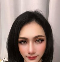 Sky Nawaphan - Transsexual escort in Bangkok