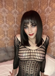 Sky Nawaphan - Transsexual escort in Bangkok Photo 3 of 4