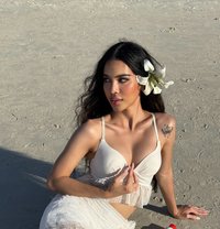 Sky Queen Sugarbabe - Transsexual escort in Abu Dhabi
