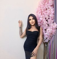 Sky - Acompañantes transexual in Dubai