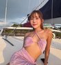Sky Vvip - escort in Phuket Photo 1 of 7