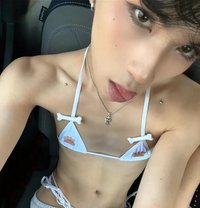 Skyer - Transsexual escort in Al Manama