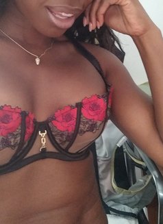 Skyla Lee - escort in Barbados Photo 4 of 6