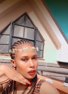 Skypetite Girl - escort agency in Singapore Photo 2 of 7