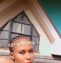 Skypetite Girl - escort agency in Singapore