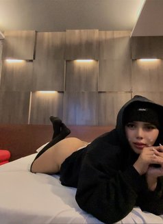 Slave Aisha - Transsexual escort in Manila Photo 3 of 5