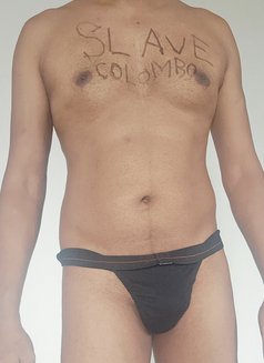 Escort Slave Boy for Ladies & Mistress - Acompañantes masculino in Colombo Photo 12 of 16