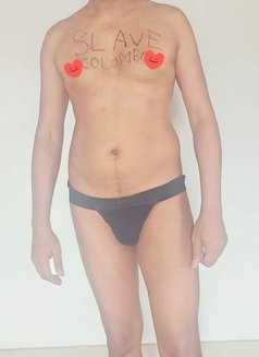Slave Guy for Mistress in Colombo - Male escort in Colombo Photo 10 of 13