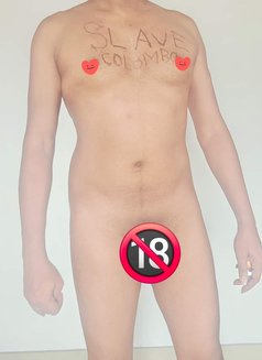 Slave Guy for Mistress in Colombo - Male escort in Colombo Photo 13 of 13