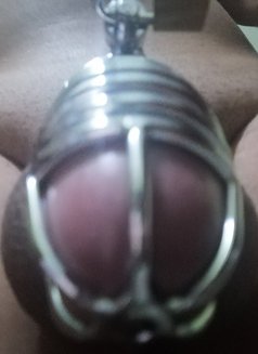 Slave Kevin - Male escort in Colombo Photo 6 of 8